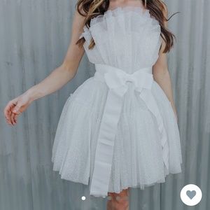 Untamed Petals Disco Mini - brand new!